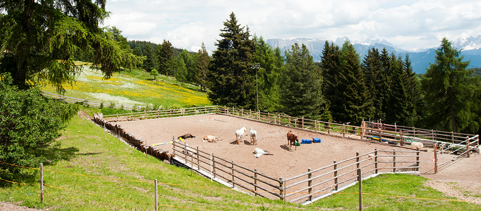 LIMSNOR-KIT med 400m limsnor- stall, fjøs, hønsehus